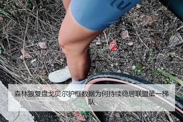 森林狼复盘戈贝尔护框数据为何持续稳居联盟第一梯队 | kaiyun